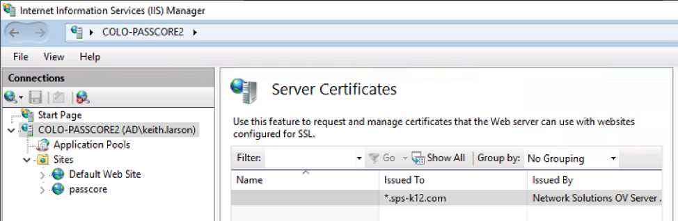 Installing a Wildcard SSL for IIS Passcore Picture2