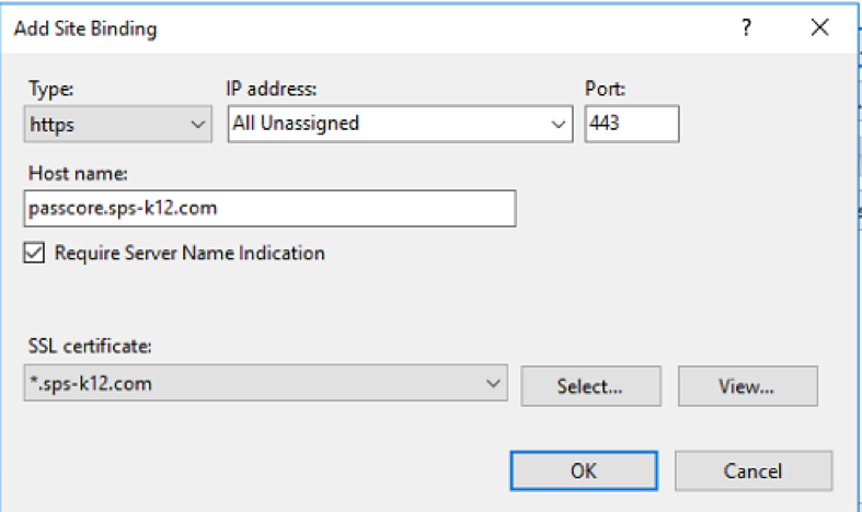 Installing a Wildcard SSL for IIS Passcore Picture5
