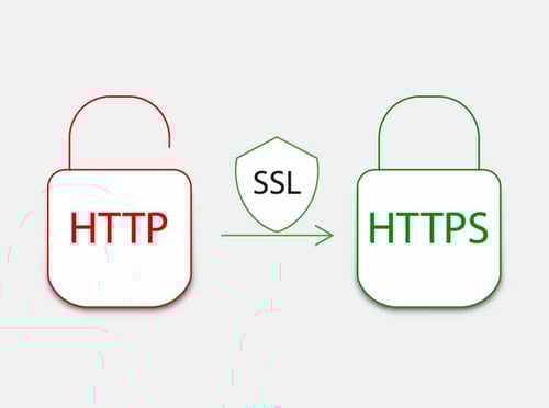 Purchasing a Wildcard SSL Certificate for Technology Directors